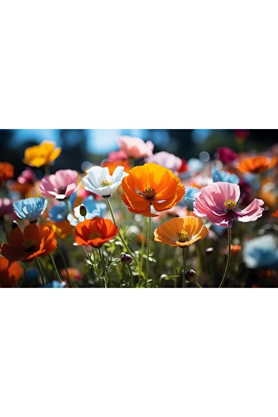 OEM Tablou decorativ, de perete, cu rama din lemn, 33cm x 24cm, imaginea 2583