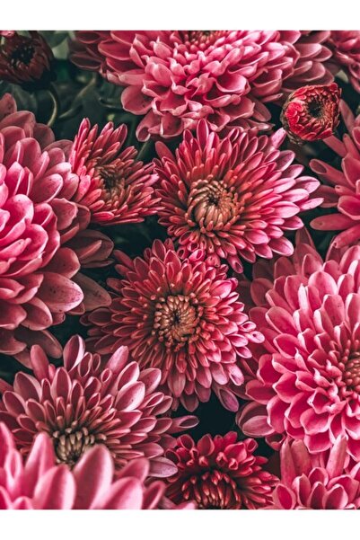 OEM Διακοσμητική επιτοίχια ζωγραφική με ξύλινο πλαίσιο, 33cm x 24cm, εικόνα 2270