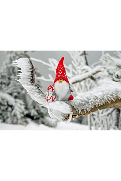 OEM Tablou decorativ, de perete, cu rama din lemn, 33cm x 24cm, cu flori2366