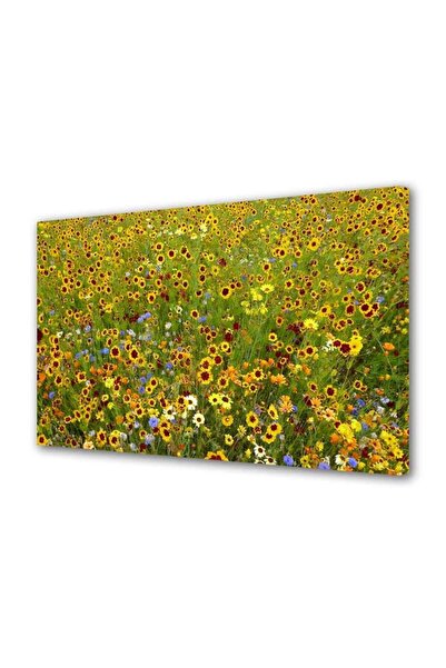 OEM Tablou decorativ, de perete, cu rama din lemn, 33cm x 24cm,cu flori1713