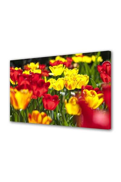 OEM Tablou decorativ, de perete, cu rama din lemn, 33cm x 24cm,cu flori1686