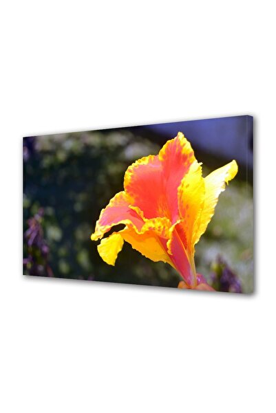 OEM Tablou decorativ, de perete, cu rama din lemn, 33cm x 24cm,cu flori1315