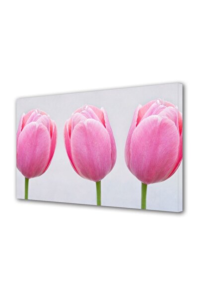 OEM Tablou decorativ, de perete, cu rama din lemn, 33cm x 24cm,cu flori1303