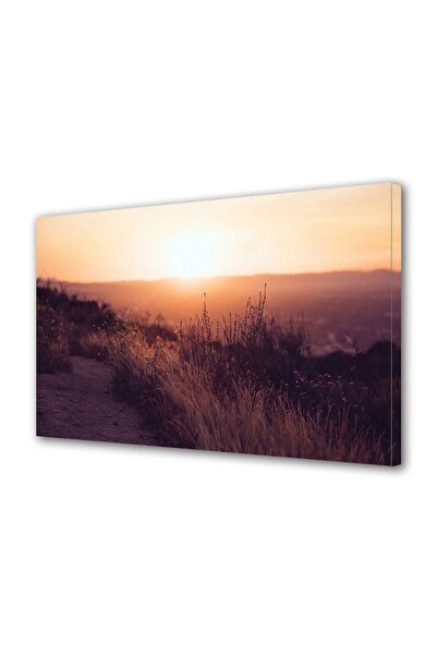 OEM Tablou decorativ, de perete, cu rama din lemn, 33cm x 24cm,cu flori2014