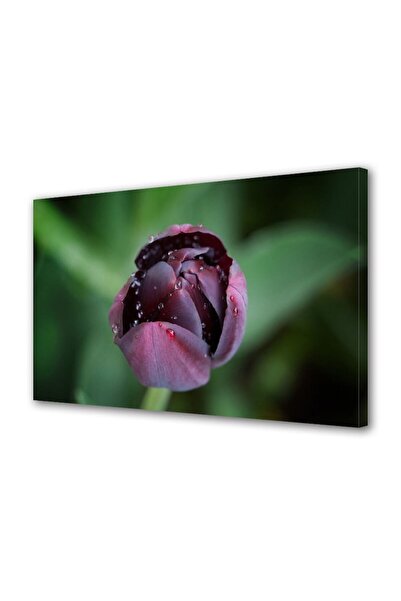 OEM Tablou decorativ, de perete, cu rama din lemn, 33cm x 24cm,cu flori1719