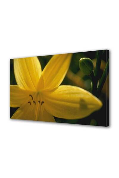 OEM Tablou decorativ, de perete, cu rama din lemn, 33cm x 24cm,cu flori1254
