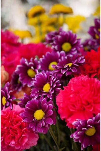 OEM Διακοσμητική επιτοίχια ζωγραφική με ξύλινο πλαίσιο, 33cm x 24cm, εικόνα 2274