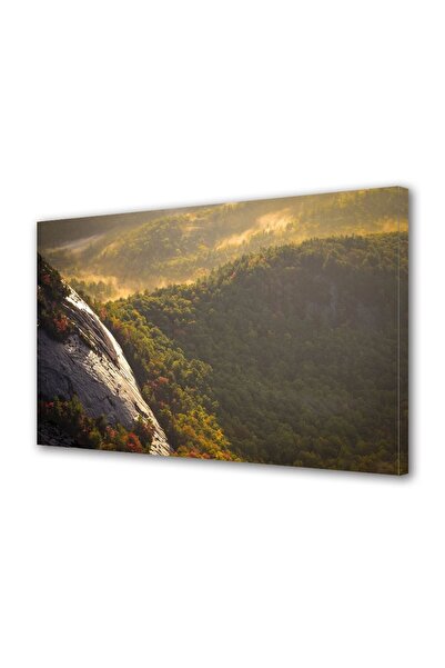 OEM Tablou decorativ, de perete, cu rama din lemn, 33cm x 24cm,cu flori2199