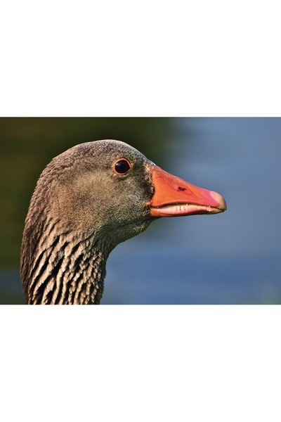 OEM SONGMICS Dulap de bijuterii cu oglinda, montare pe perete, incuietoare, 3...