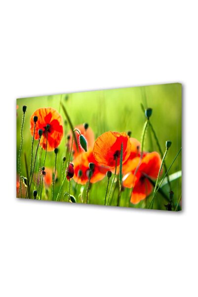 OEM Tablou decorativ, de perete, cu rama din lemn, 33cm x 24cm,cu flori1547