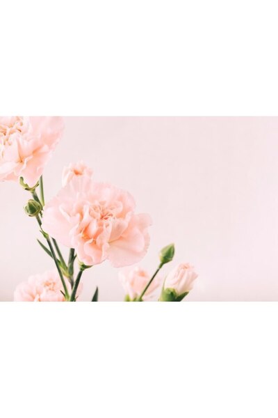 OEM Διακοσμητική επιτοίχια ζωγραφική με ξύλινο πλαίσιο, 33cm x 24cm, εικόνα 2563