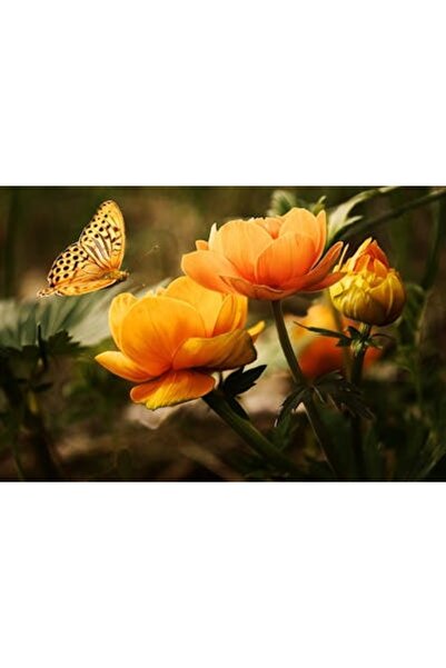 OEM Διακοσμητική επιτοίχια ζωγραφική με ξύλινο πλαίσιο, 33cm x 24cm, εικόνα 2051