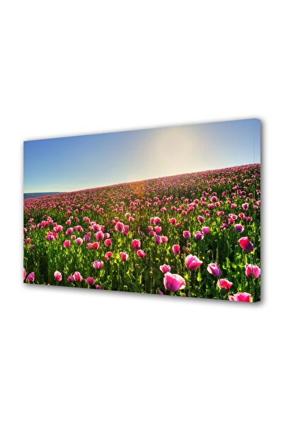 OEM Tablou decorativ, de perete, cu rama din lemn, 33cm x 24cm,cu flori1546