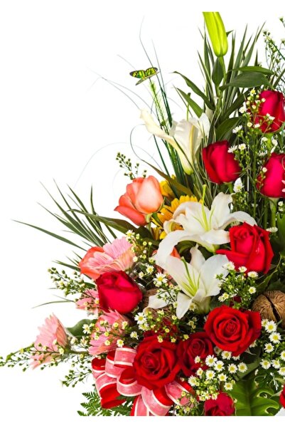 OEM Διακοσμητική επιτοίχια ζωγραφική με ξύλινο πλαίσιο, 33cm x 24cm, εικόνα 2262