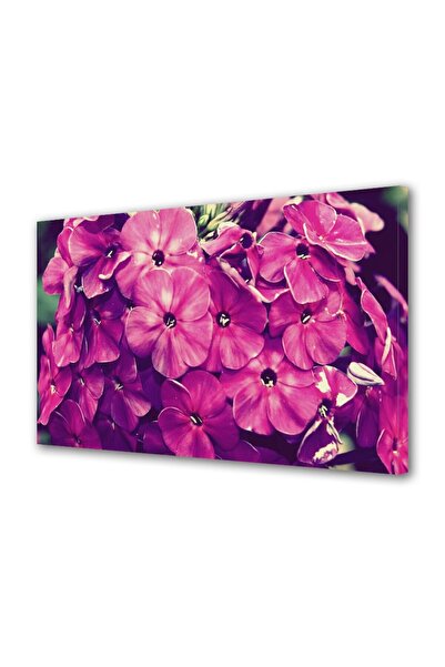 OEM Tablou decorativ, de perete, cu rama din lemn, 33cm x 24cm,cu flori1388