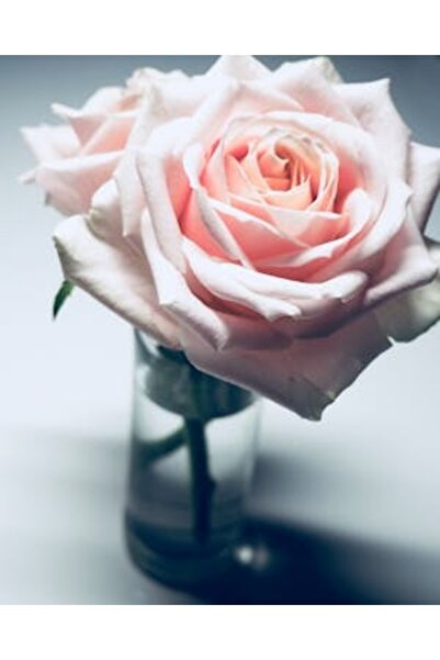 OEM Διακοσμητική επιτοίχια ζωγραφική με ξύλινο πλαίσιο, 33cm x 24cm, εικόνα 2347