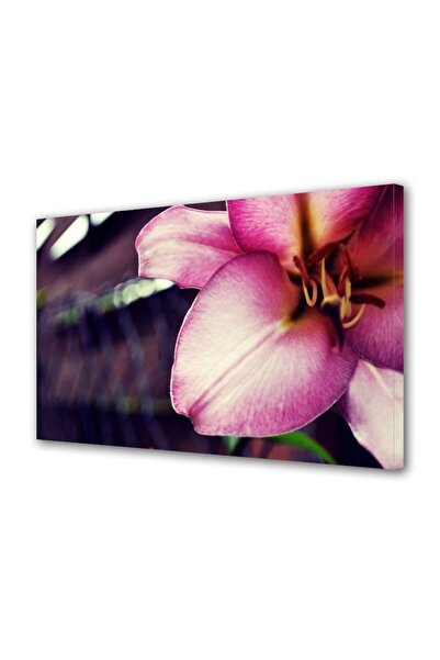 OEM Decorative wall painting with wooden frame, 33cm x 24cm, with flowers1376