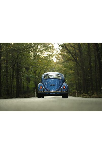 OEM Tablou decorativ, de perete, cu rama din lemn, 33cm x 24cm, masina5423