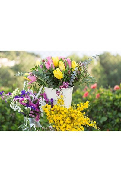 OEM Tablou decorativ, de perete, cu rama din lemn, 33cm x 24cm, imaginea 2316