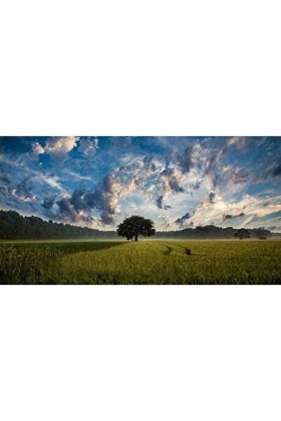 OEM Tablou decorativ, de perete, cu rama din lemn, 33cm x 24cm, cu flori2358