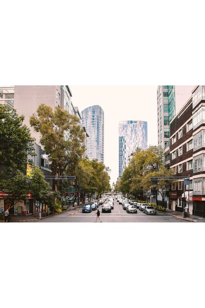 OEM Tablou decorativ, de perete, cu rama din lemn, 33cm x 24cm, imaginea 1871