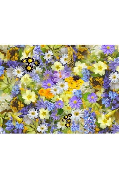 OEM Tablou decorativ, de perete, cu rama din lemn, 33cm x 24cm, imaginea 2054