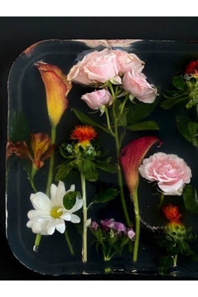 OEM Tablou decorativ, de perete, cu rama din lemn, 33cm x 24cm, imaginea 2385