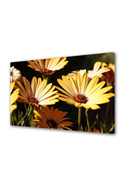 OEM Tablou decorativ, de perete, cu rama din lemn, 33cm x 24cm,cu flori1292