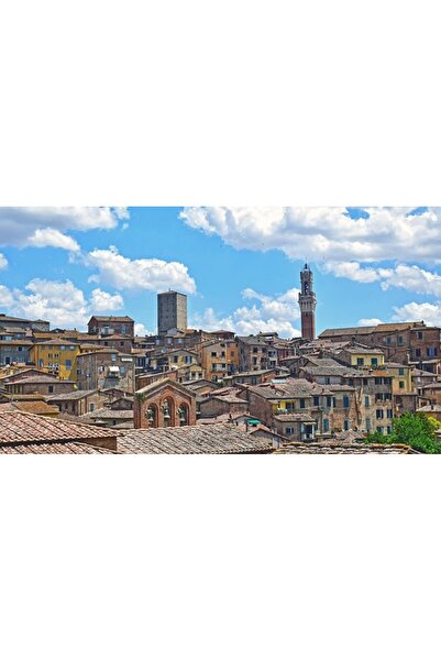 OEM Διακοσμητική τοιχογραφία με ξύλινο πλαίσιο, 33εκ. x 24εκ., εικόνα 1897