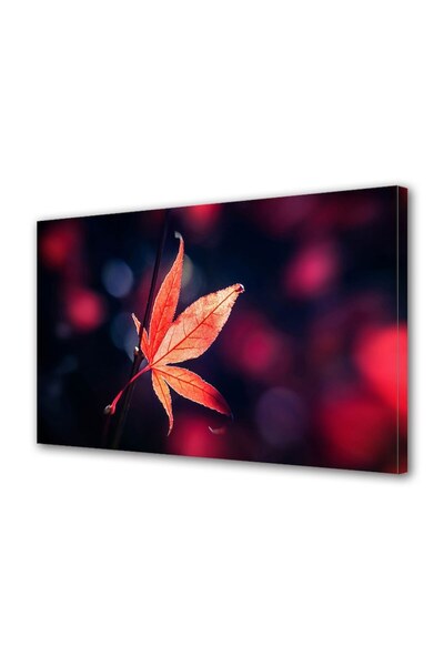 OEM Tablou decorativ, de perete, cu rama din lemn, 33cm x 24cm,cu flori2071