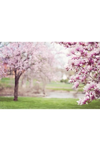 OEM Διακοσμητική επιτοίχια ζωγραφική με ξύλινο πλαίσιο, 33cm x 24cm, εικόνα 2043