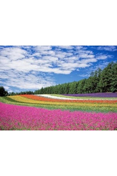 OEM Διακοσμητική επιτοίχια ζωγραφική με ξύλινο πλαίσιο, 33cm x 24cm, εικόνα 2092