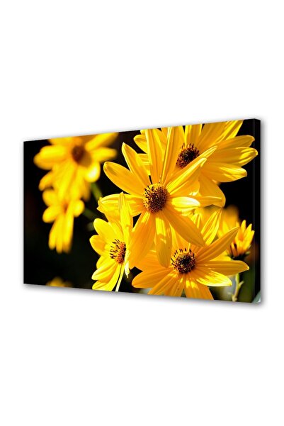 OEM Tablou decorativ, de perete, cu rama din lemn, 33cm x 24cm,cu flori1717