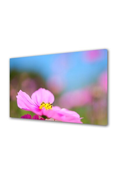 OEM Tablou decorativ, de perete, cu rama din lemn, 33cm x 24cm,cu flori1349