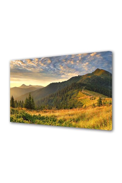 Alista Home Decorative wall painting with wooden frame, 33cm x 24cm, with flowers 1911