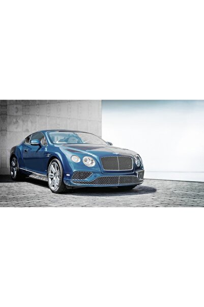 OEM Декоративна стенна картина с дървена рамка, 33см x 24см, car5427