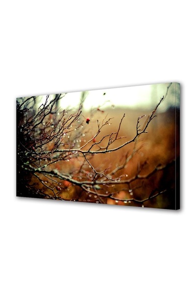 OEM Tablou decorativ, de perete, cu rama din lemn, 33cm x 24cm,cu flori2152