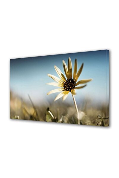OEM Tablou decorativ, de perete, cu rama din lemn, 33cm x 24cm,cu flori1637