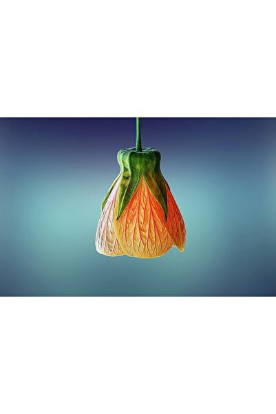 OEM Tablou decorativ, de perete, cu rama din lemn, 33cm x 24cm, cu flori3441