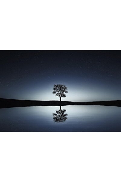 OEM Tablou decorativ, de perete, cu rama din lemn, 33cm x 24cm, cu flori2434