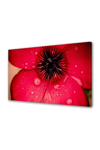 OEM Tablou decorativ, de perete, cu rama din lemn, 33cm x 24cm,cu flori1518