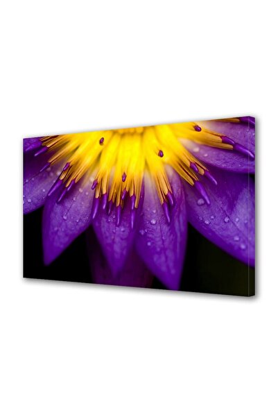 OEM Tablou decorativ, de perete, cu rama din lemn, 33cm x 24cm,cu flori1595