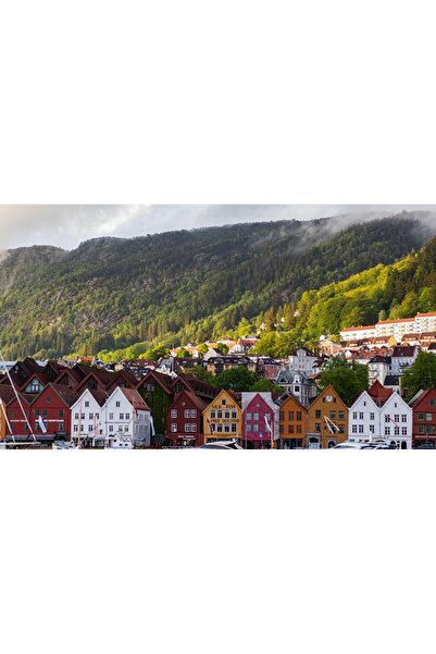 OEM Tablou decorativ, de perete, cu rama din lemn, 33cm x 24cm, imaginea 1957