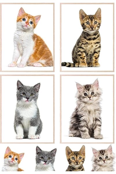 Emoda home Trove مجموعة ديكور حائط من ملصق قطة من ALAYRA Insire مكونة من 4 قطع مقاس 20 × 30 سم بدون إطار للمنزل والمكتب