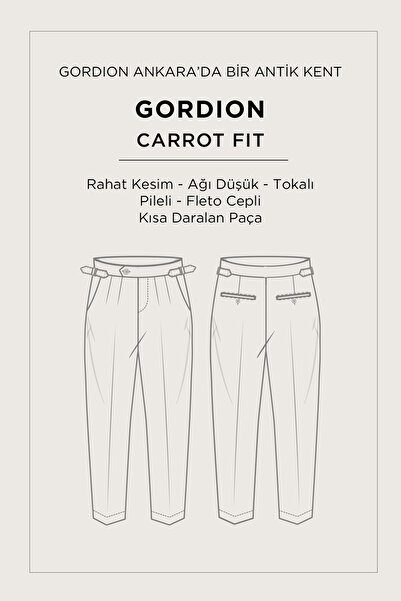 Avva Чоловічі світло-сірі штани з боковими застібками, з віскозною сумішшю, легко прасуються, крій Carrot Fit A52Y3010