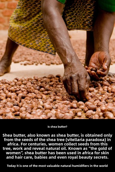 Organicsun Shea Butter 250 ml |   100% Raw, Cold Pressed Shea Butter |   Dry Skin, Hair, Lip, and Heel Care