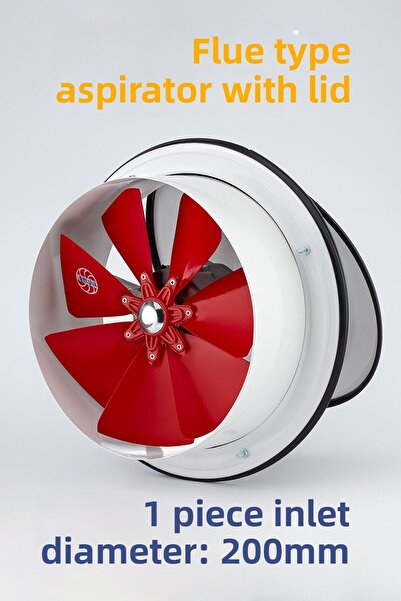 Badem10 Chimney Type Covered Aspirator Silent 200 mm Ventilation Fan Home and Industrial Type Powerful Air Odor Absorption