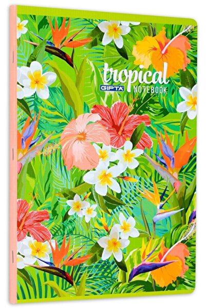 Gıpta دفتر ملاحظات بغطاء من الورق المقوى بخياطة سلكية استوائية (a4) 80 ورقة (...