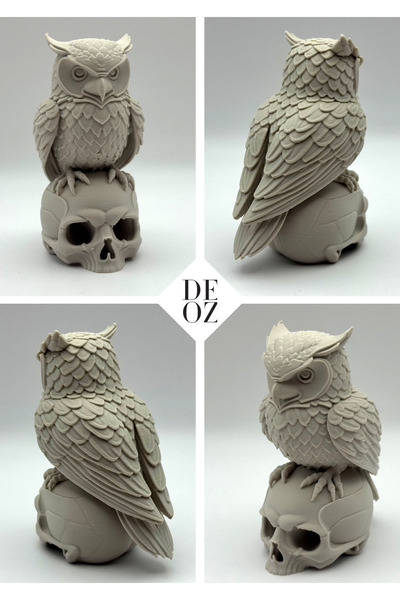 DEOZ3D Dekoratif 3D Baykuş / Kuru Kafa Biblo