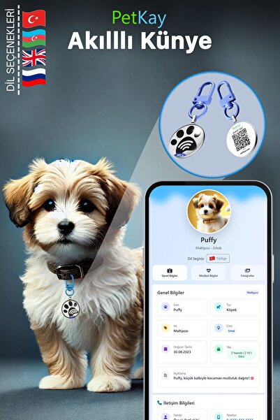 petkay Köpekler Için Akıllı Künye, Nfc Dijital Isimlik Ve Tasma Künyesi Qr Kod Künye Paslanmaz Çelik Mavi